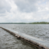 buitenwater, haven, havenkom, inspectie, natuurzwemmen, openwaterzwemmen, plas, scuba diving, sportduiken