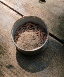 cassavewormen, krekels, madenkwekerij, meelwormen, sprinkhanen, vliegende insecten
