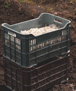 bloemendoos, bloemendozen, bloemenemmer, bloempot, bollen, container, doos, dozen, fruitkist, groentenkist, hergebruiken, kist, knollen, mand, planten, plantpot, reinigen, schoonspoelen, spoelen, uitwassen, wassen, zak