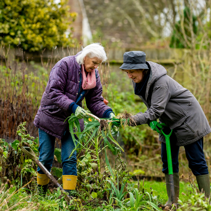 Vergunningaanvraag Beplanting onderhouden of weghalen