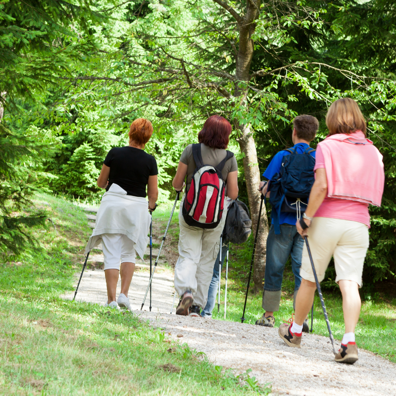 Conceptverzoek Wandeltocht organiseren